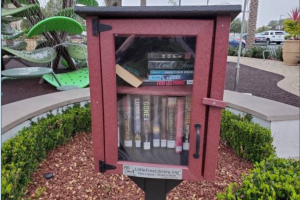 dar little library